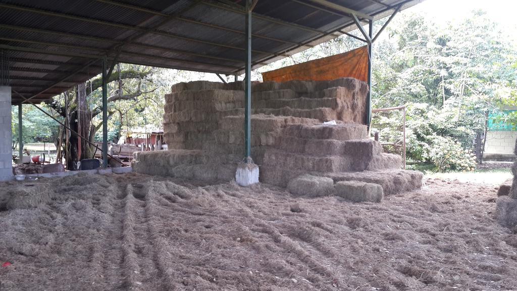 Rancho Curubande Lodge Liberia Exterior photo
