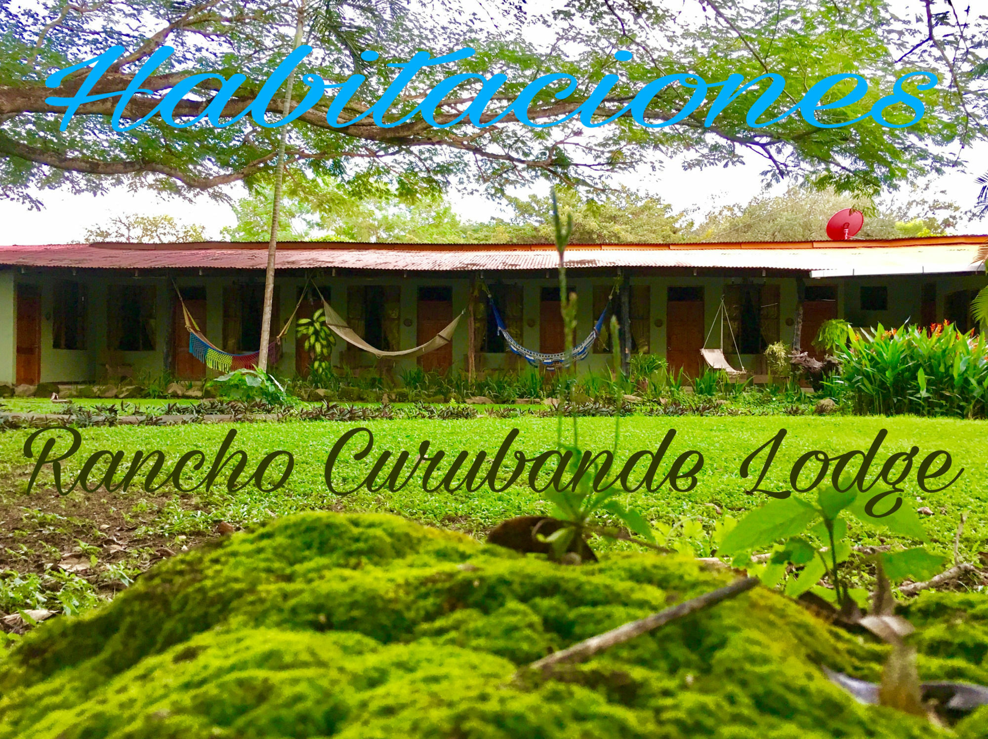 Rancho Curubande Lodge Liberia Exterior photo