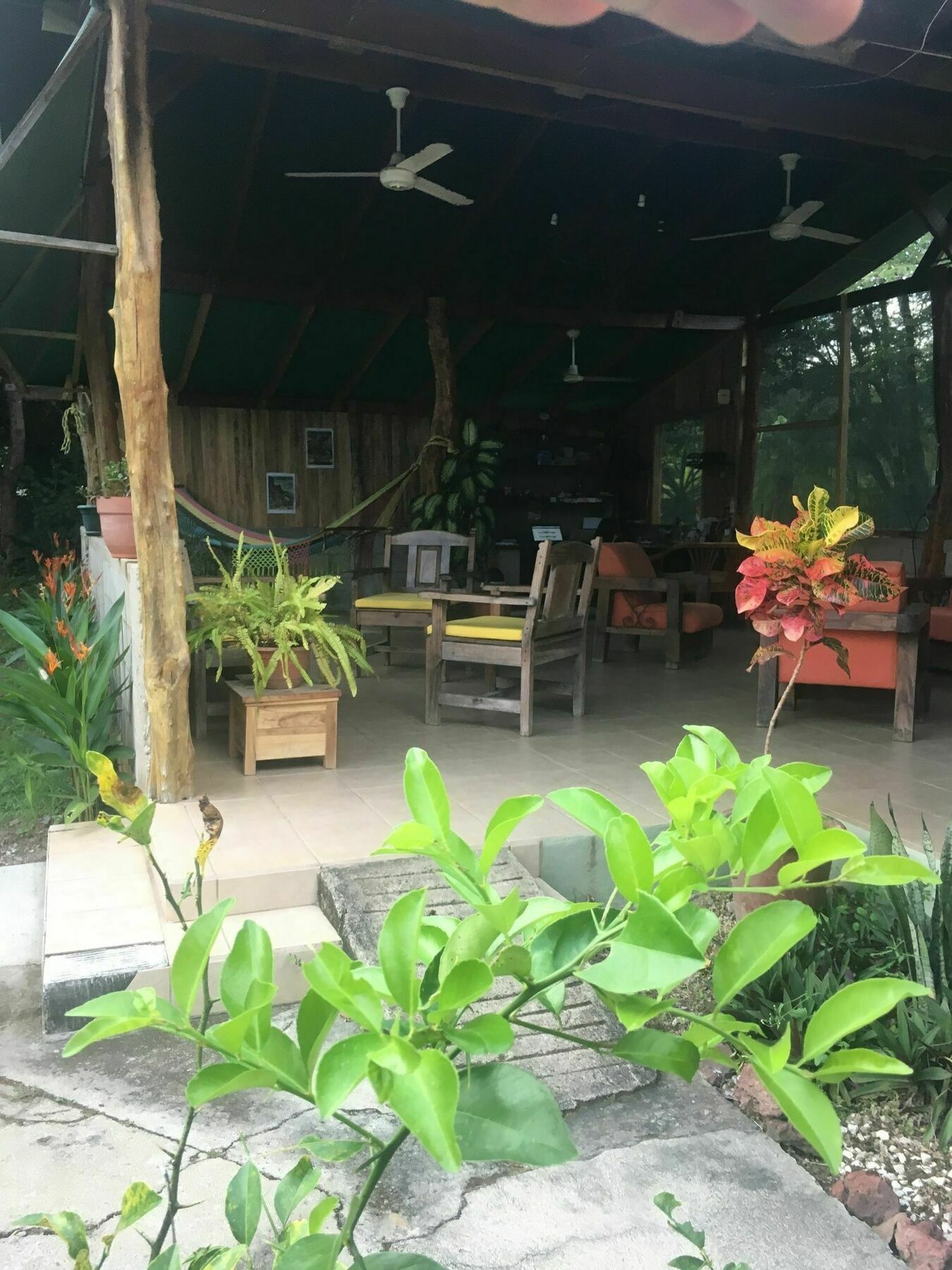 Rancho Curubande Lodge Liberia Exterior photo