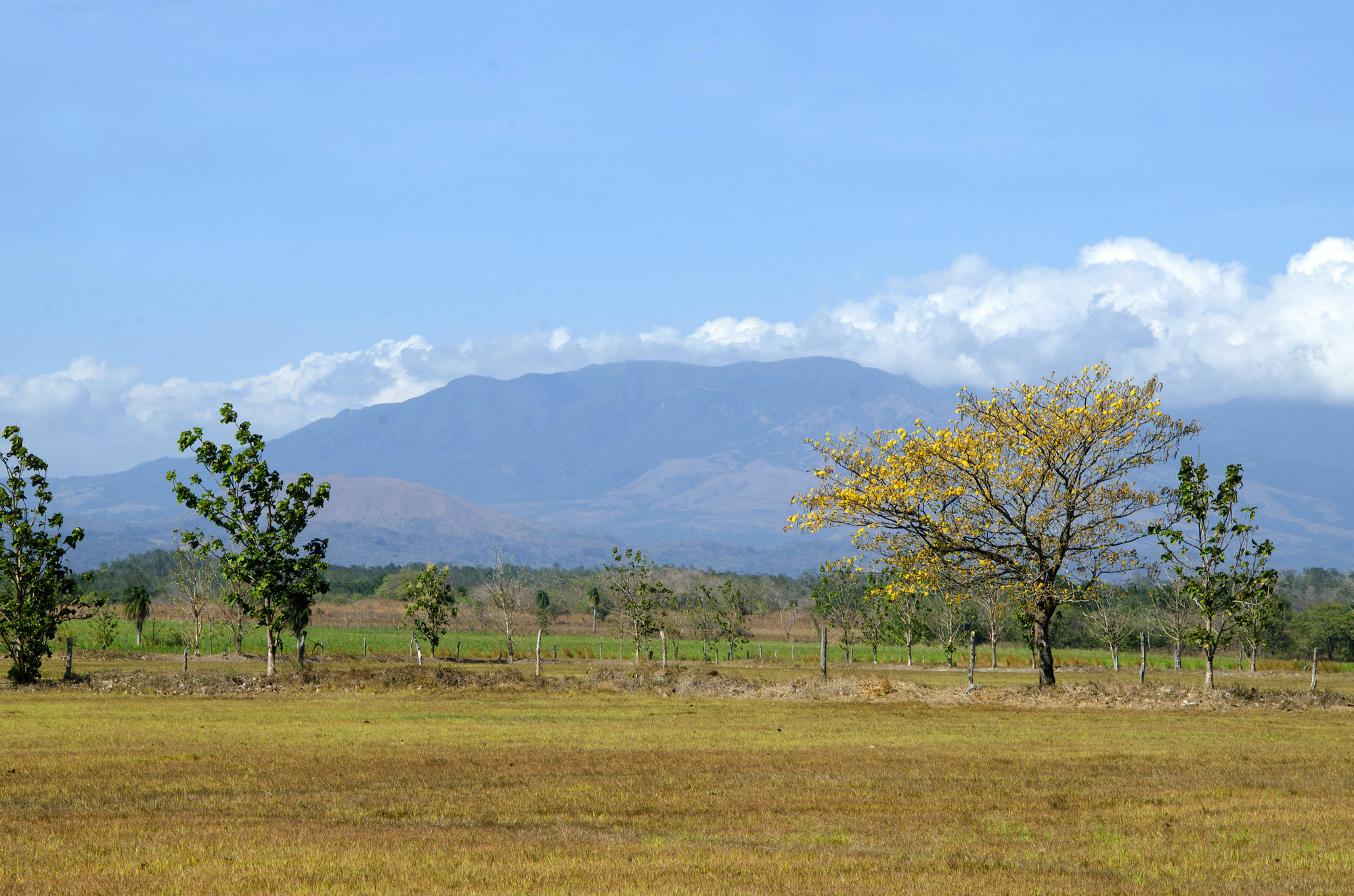 Rancho Curubande Lodge Liberia Exterior photo